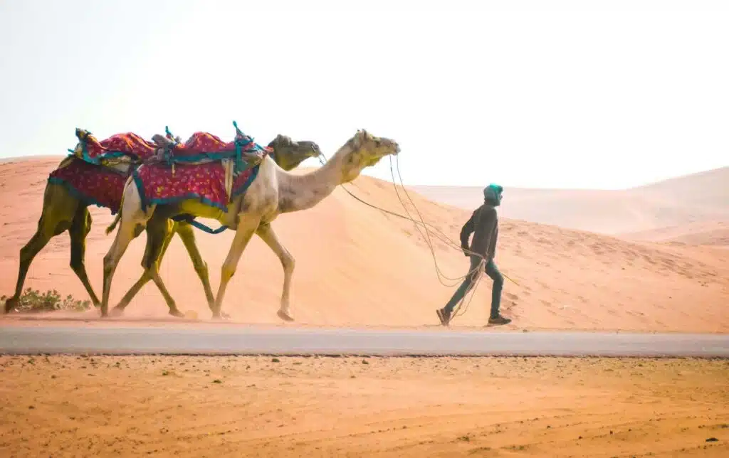 Desert Safari In Dubai