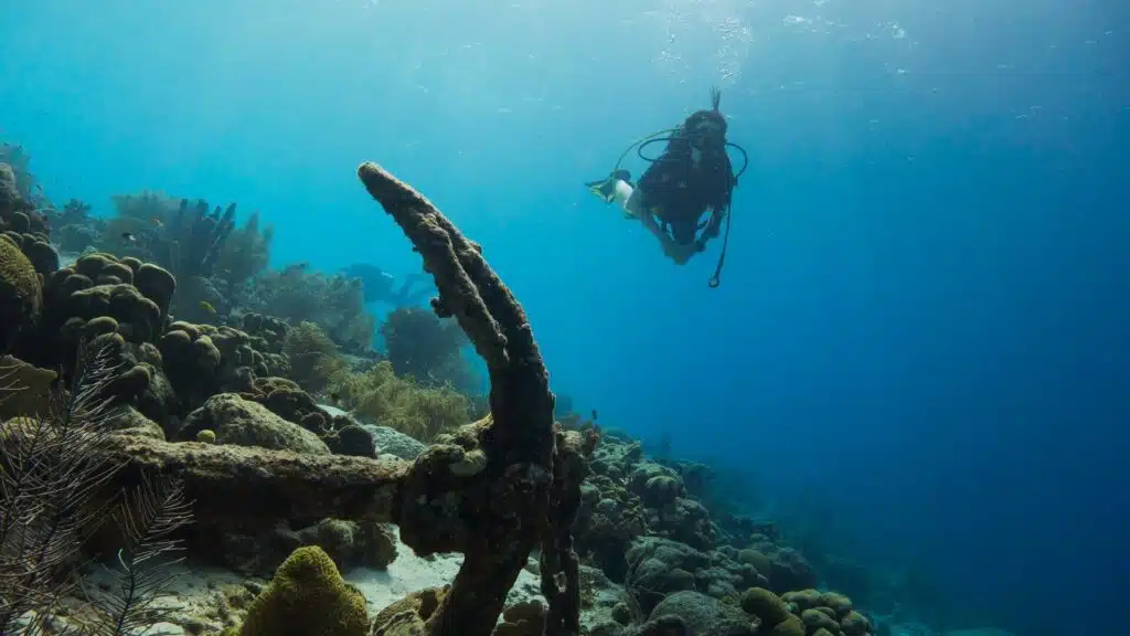 Scuba Diving In The Great Barrier Reef